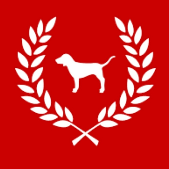 Pink Victoria's Secret Boston Red Sox Short Sleeve T-shirt Sequins NWT - Picture 6 of 16